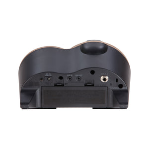 BOSS DR-01S Rhythm Partner