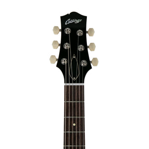 Collings 360 LT M Electric Guitar w/Case, Doghair, 36022811