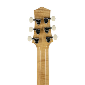 Collings 360 LT M Electric Guitar w/Case, Doghair, 36022811