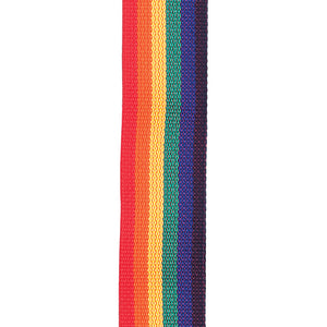 D'Addario PWS111 Polypropylene Guitar Strap, Rainbow
