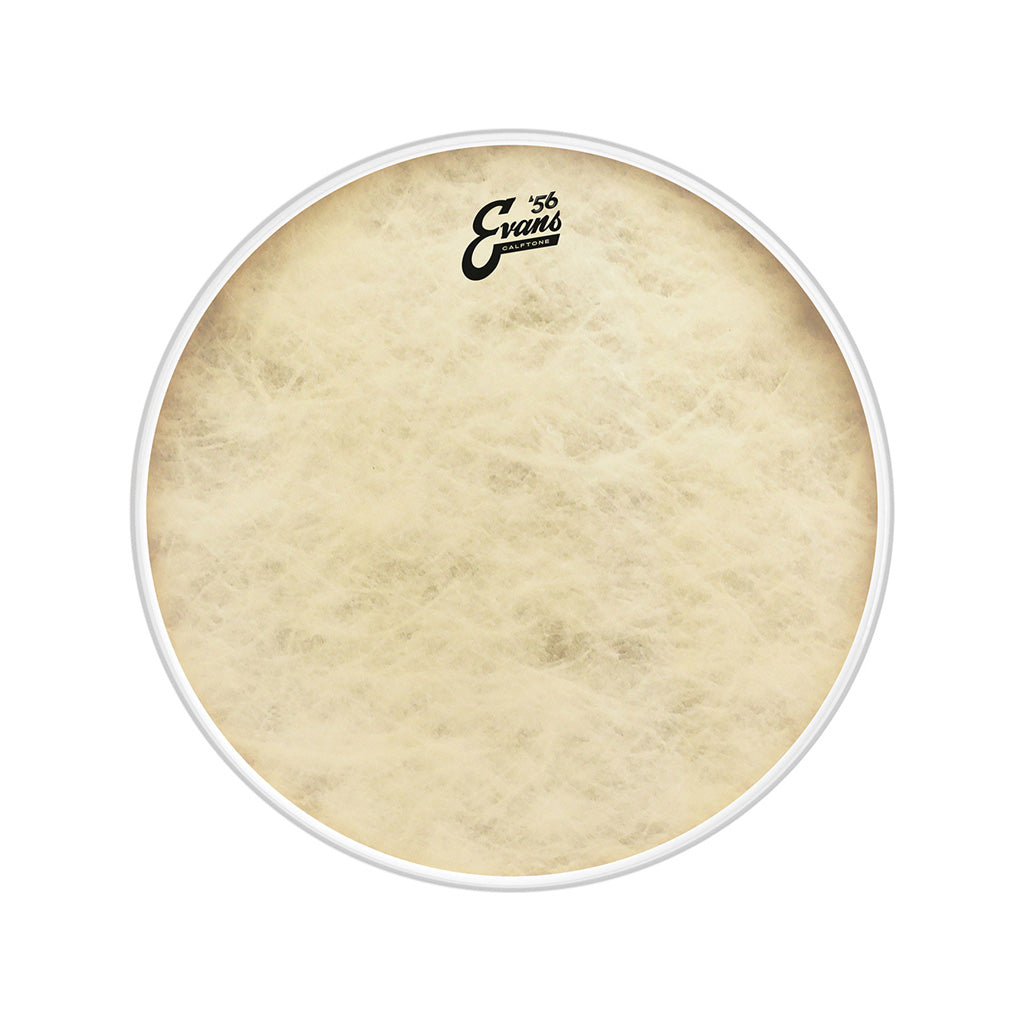 Evans BD20CT 20inch Calftone - Bass
