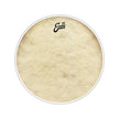 Evans BD24CT 24inch Calftone - Bass