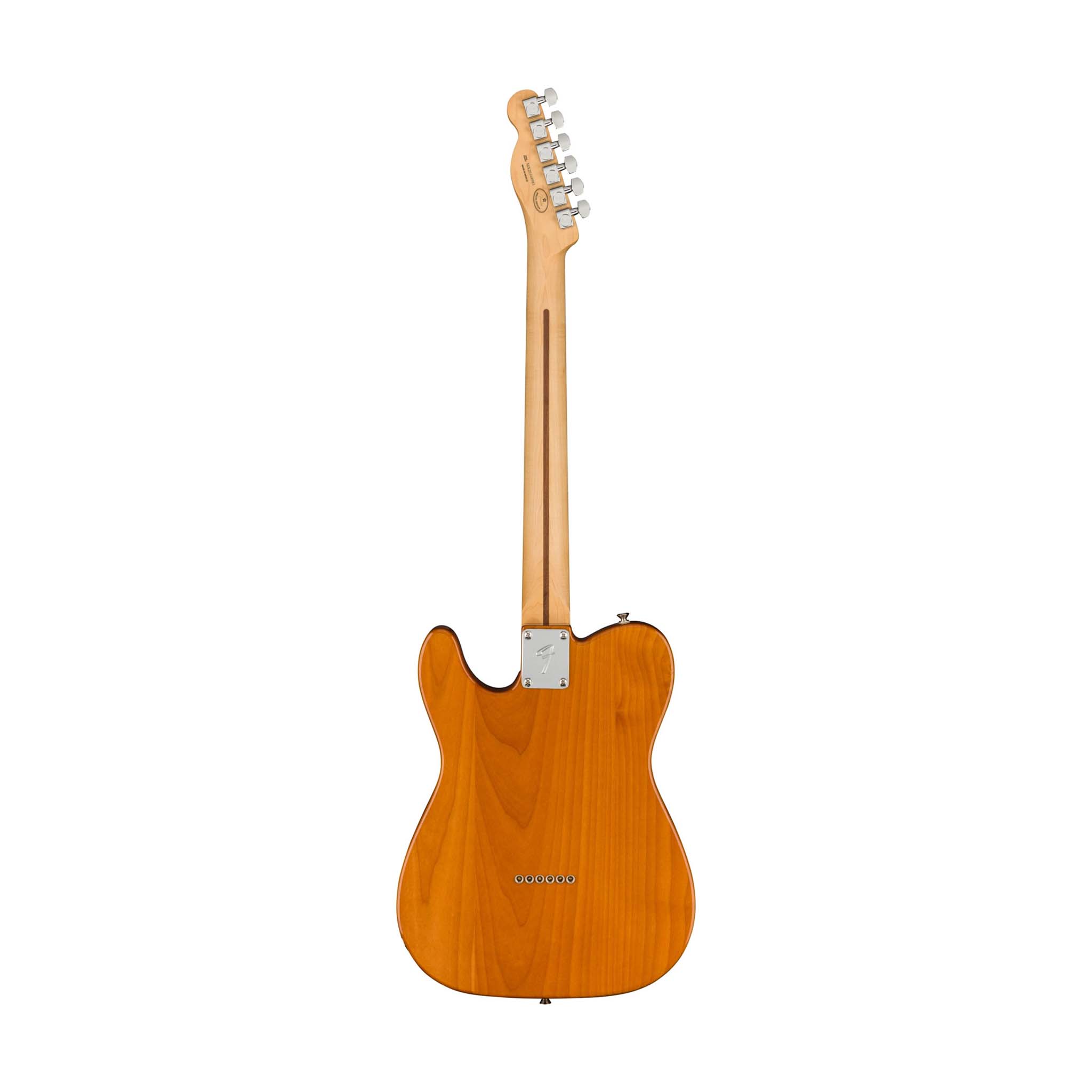 Fender Ltd Ed Player Telecaster Electric Guitar, Maple FB, Aged