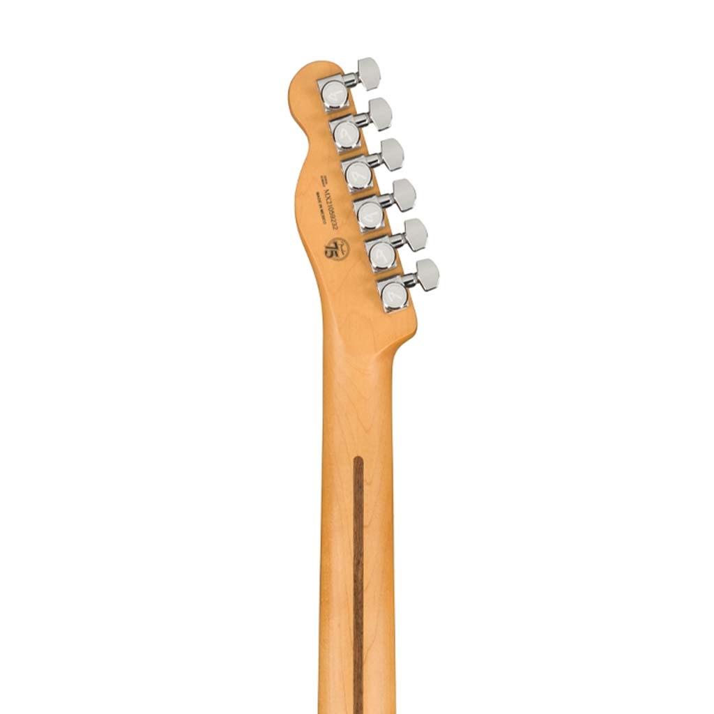 Fender Player Plus Nashville Telecaster Electric Guitar, Maple FB
