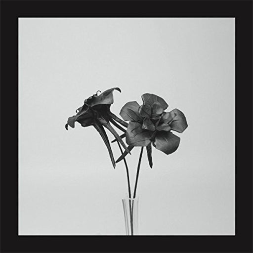 Dark Lotus - Jlin (Vinyl)
