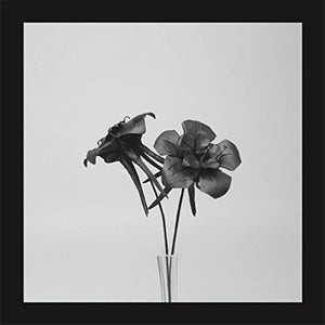 Dark Lotus - Jlin (Vinyl)