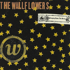Bringing Down the Horse - The Wallflowers (Vinyl)