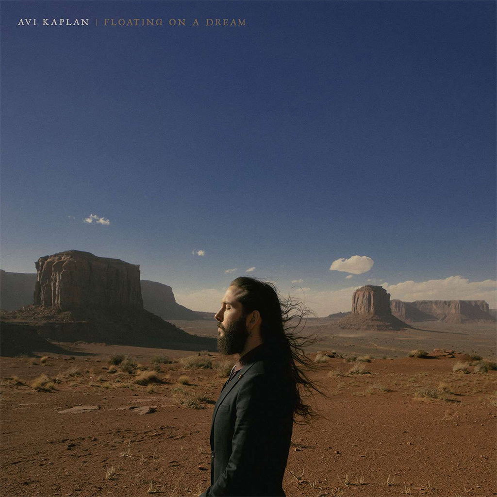 Floating On A Dream - Avi Kaplan (Vinyl) (AE)