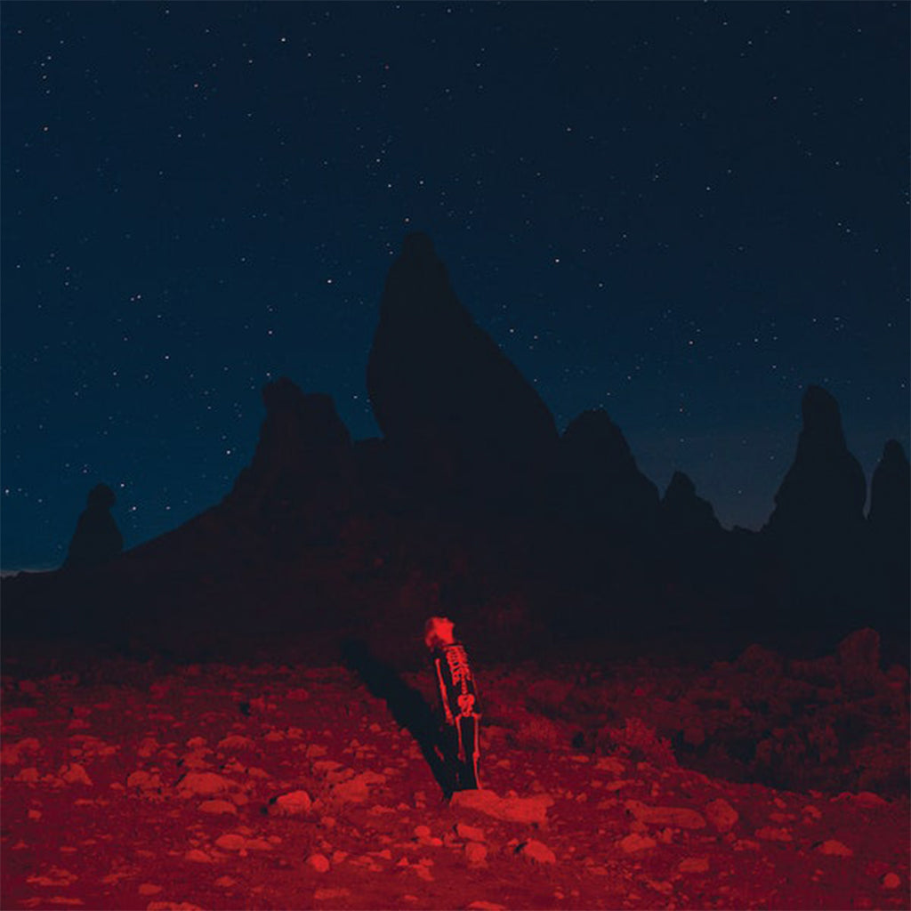 Punisher - Phoebe Bridgers (Vinyl)