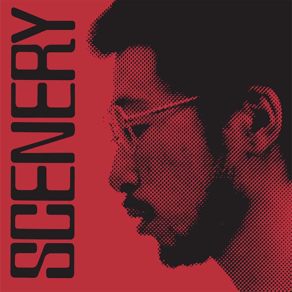 Scenery (WRJ Reissue) - Ryo Fukui (Vinyl) (BD)