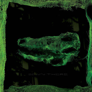 Down There - Avey Tare (Vinyl)