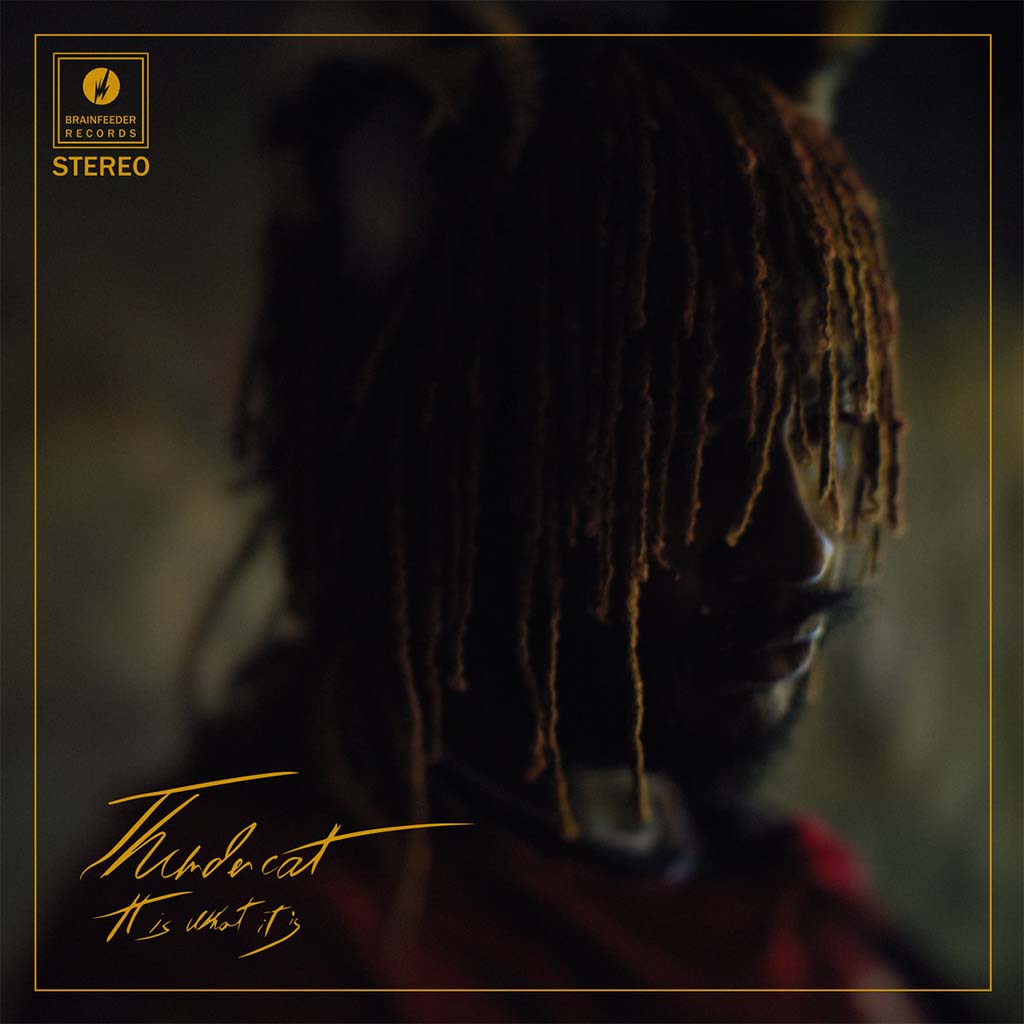 It Is What It Is (Clear Vinyl) - Thundercat (Vinyl)