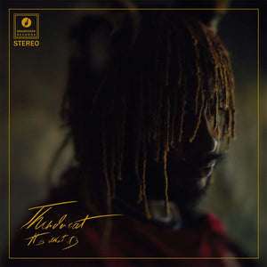 It Is What It Is (Clear Vinyl) - Thundercat (Vinyl)