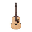 Ibanez AAD100-OPN Acoustic Guitar, Open Pore Natural