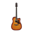 Ibanez Advanced Acoustic AAD50CE-LBS Acoustic Guitar, Light Brown Sunburst Low Gloss