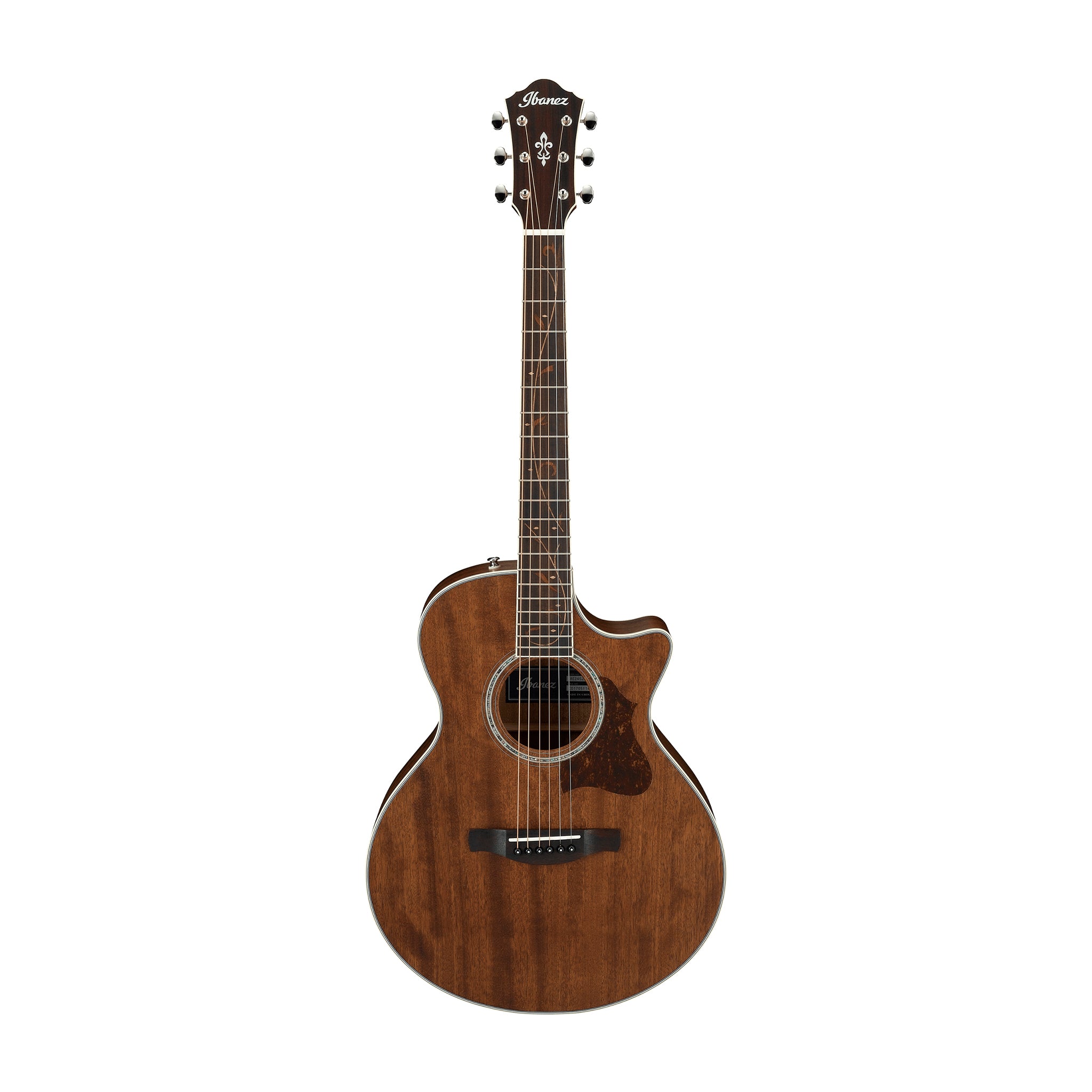 Ibanez AE245JR-OPN Acoustic Guitar w/Bag, Open Pore Natural