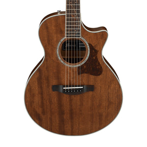 Ibanez AE245JR-OPN Acoustic Guitar w/Bag, Open Pore Natural