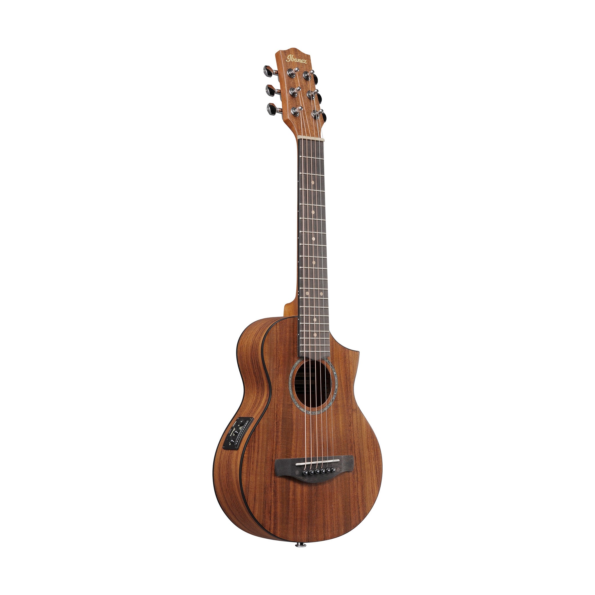 Ibanez EWP12EWB-OPN Acoustic Guitar w/Bag, Open Pore Natural