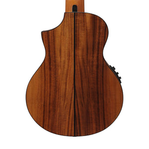 Ibanez EWP12EWB-OPN Acoustic Guitar w/Bag, Open Pore Natural