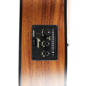 Ibanez EWP12EWB-OPN Acoustic Guitar w/Bag, Open Pore Natural