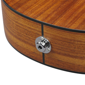 Ibanez EWP12EWB-OPN Acoustic Guitar w/Bag, Open Pore Natural