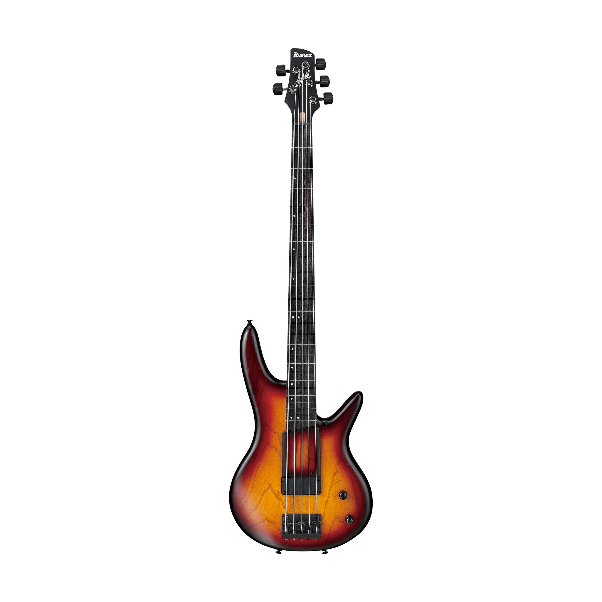 Ibanez Premium GWB205-TQF Gary Willis 5-String Fretless Bass Guitar w/Gig Bag, Tequila Sunrise Flat