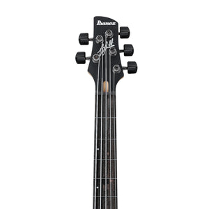 Ibanez Premium GWB205-TQF Gary Willis 5-String Fretless Bass Guitar w/Gig Bag, Tequila Sunrise Flat