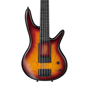 Ibanez Premium GWB205-TQF Gary Willis 5-String Fretless Bass Guitar w/Gig Bag, Tequila Sunrise Flat