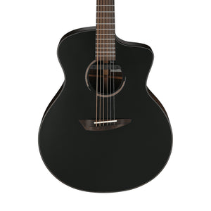 Ibanez JGM10-BSN Joe Gomm Acoustic Guitar w/Case, Black Satin Top
