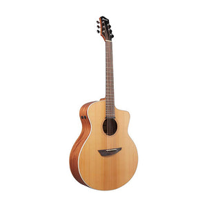 Ibanez PA230E-NSL Acoustic Guitar w/Bag, Natural