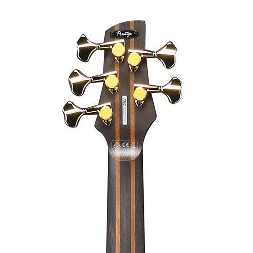 Ibanez Prestige SR5005-OL 5-String Bass w/Case, Oil – Swee Lee