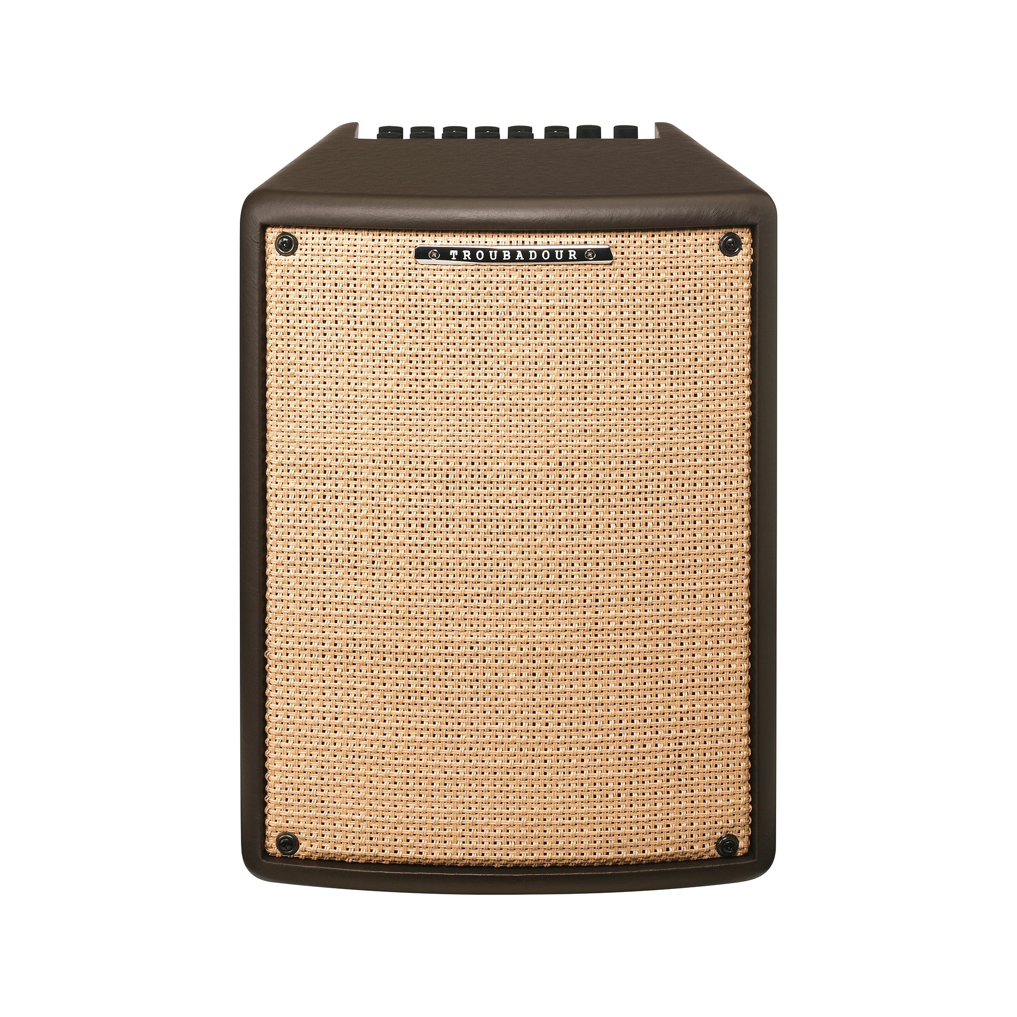 Ibanez T80II-E Troubadour II 80W Acoustic Guitar Combo Amplifier