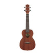 Ibanez UKC100-OPN Concert Ukulele w/ Bag, Open Pore Natural