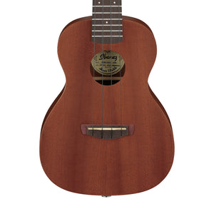 Ibanez UKC100-OPN Concert Ukulele w/ Bag, Open Pore Natural