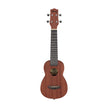 Ibanez UKS100-OPN Soprano Ukulele w/ Bag, Open Pore Natural