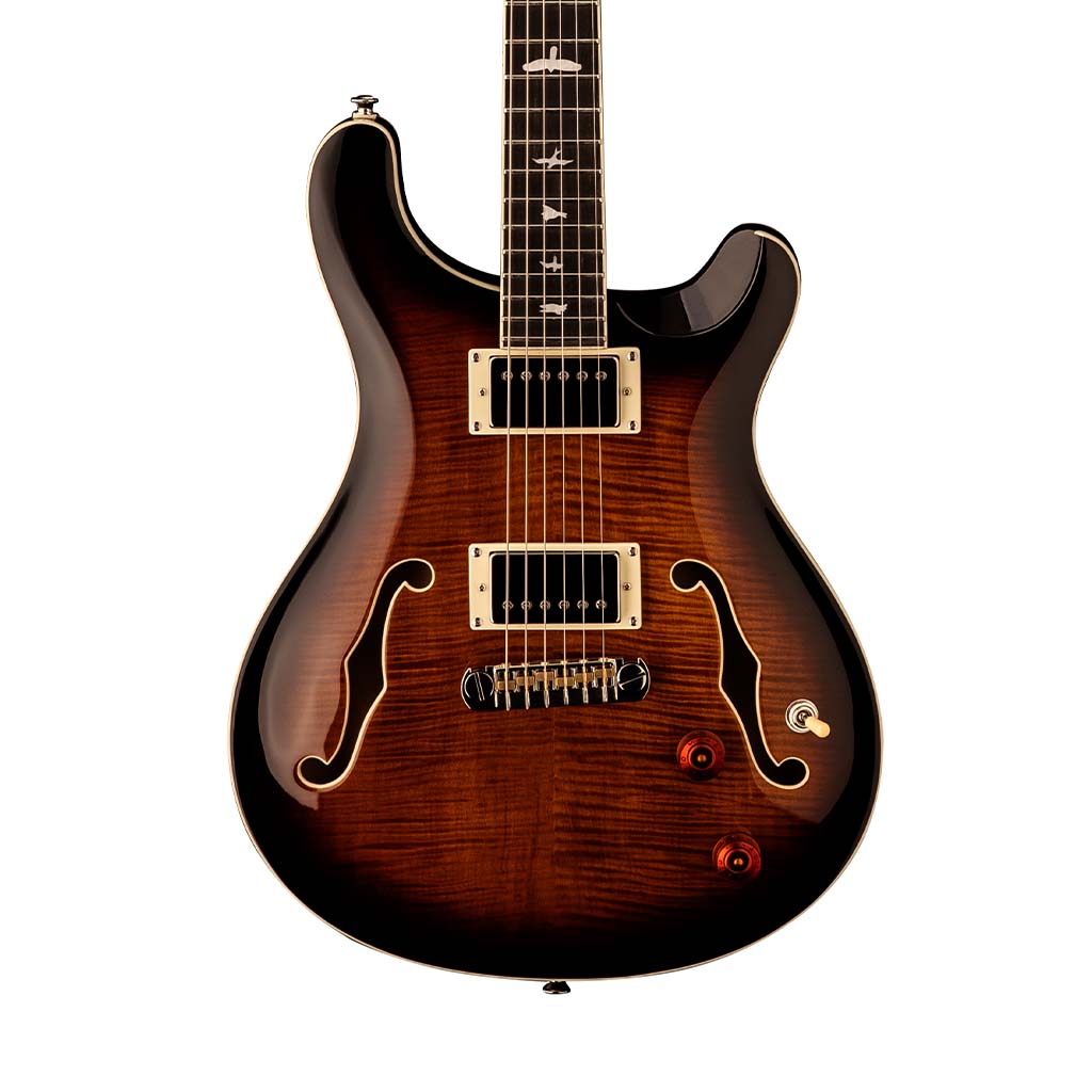 PRS SE Hollowbody II Electric Guitar w/Case, Black Gold
