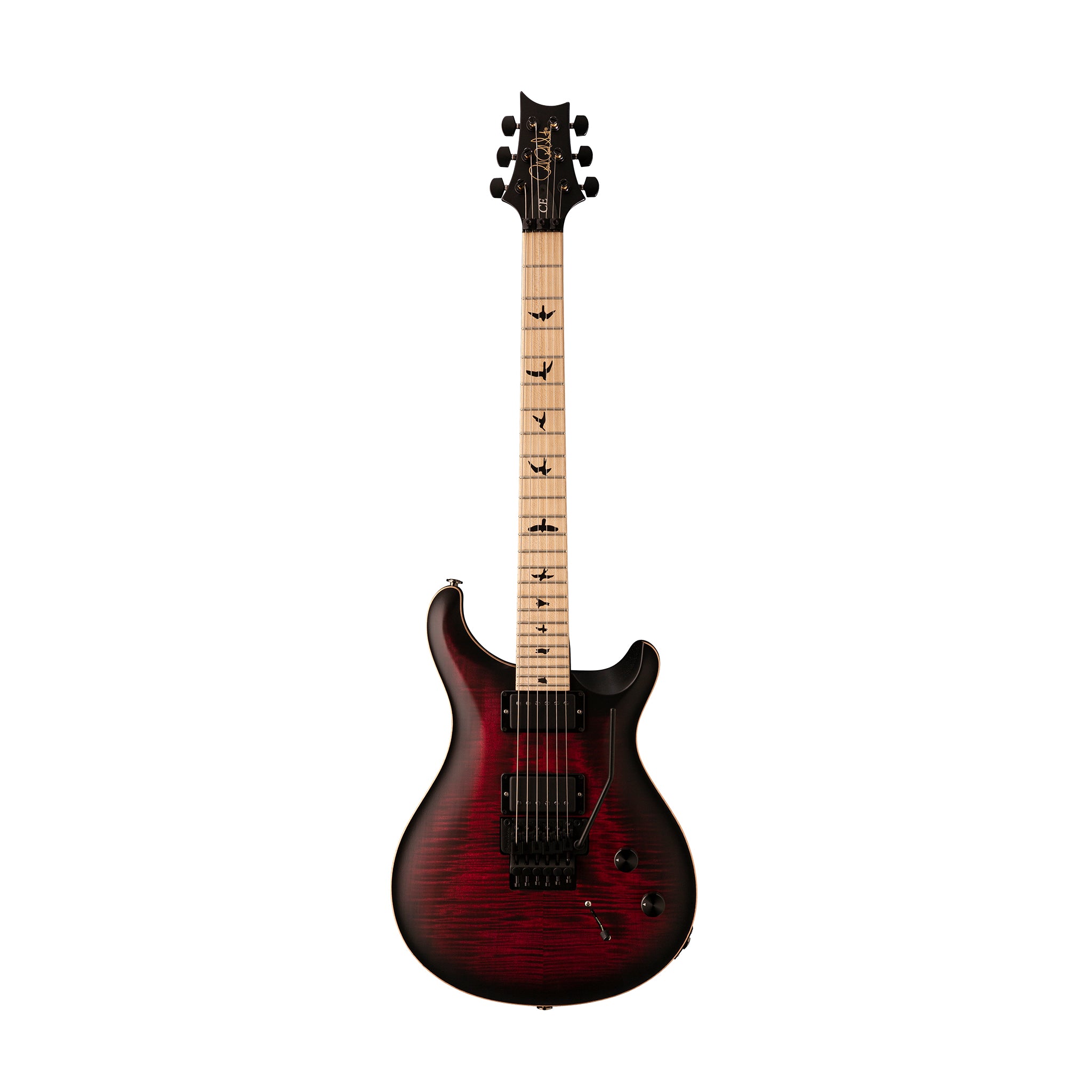 PRS Dustie Waring CE24 Floyd Electric Guitar w/Bag, Waring Burst