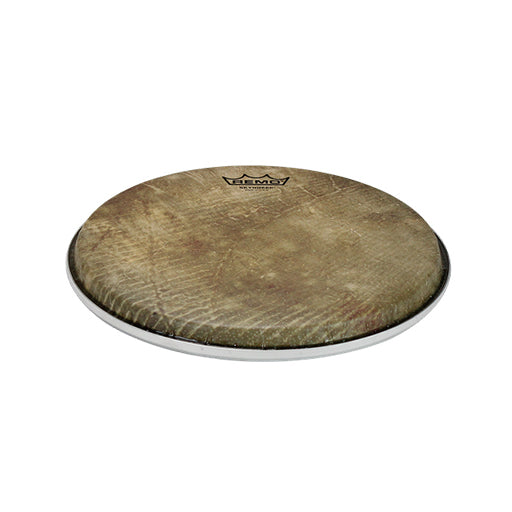 Remo BD-0010-00-SD001 10inch Weatherking Batter Diplomat Skyndeep Drum Head, Fish Skin Graphic
