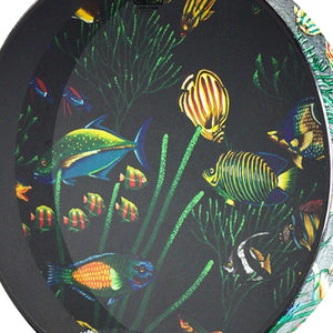Remo ET-0222-10 22Inch Ocean Drum, Fish Graphic