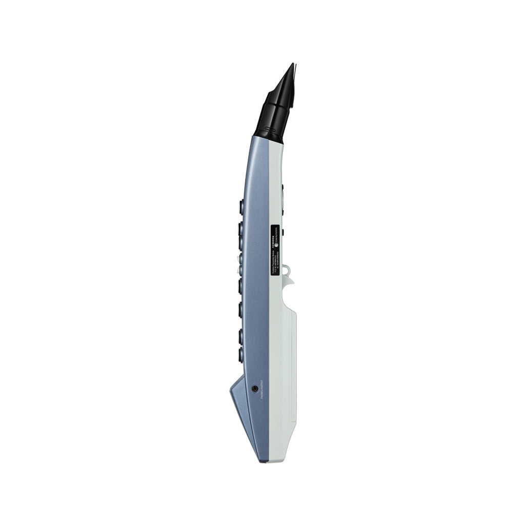 Roland AE-01 Aerophone mini Digital Wind Instrument – Swee Lee