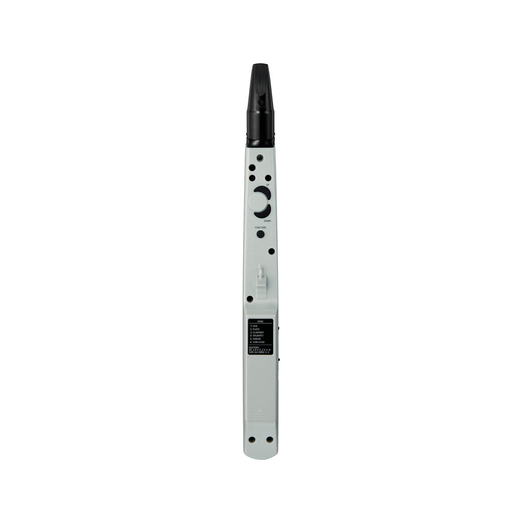 Roland AE-01 Aerophone mini Digital Wind Instrument – Swee Lee