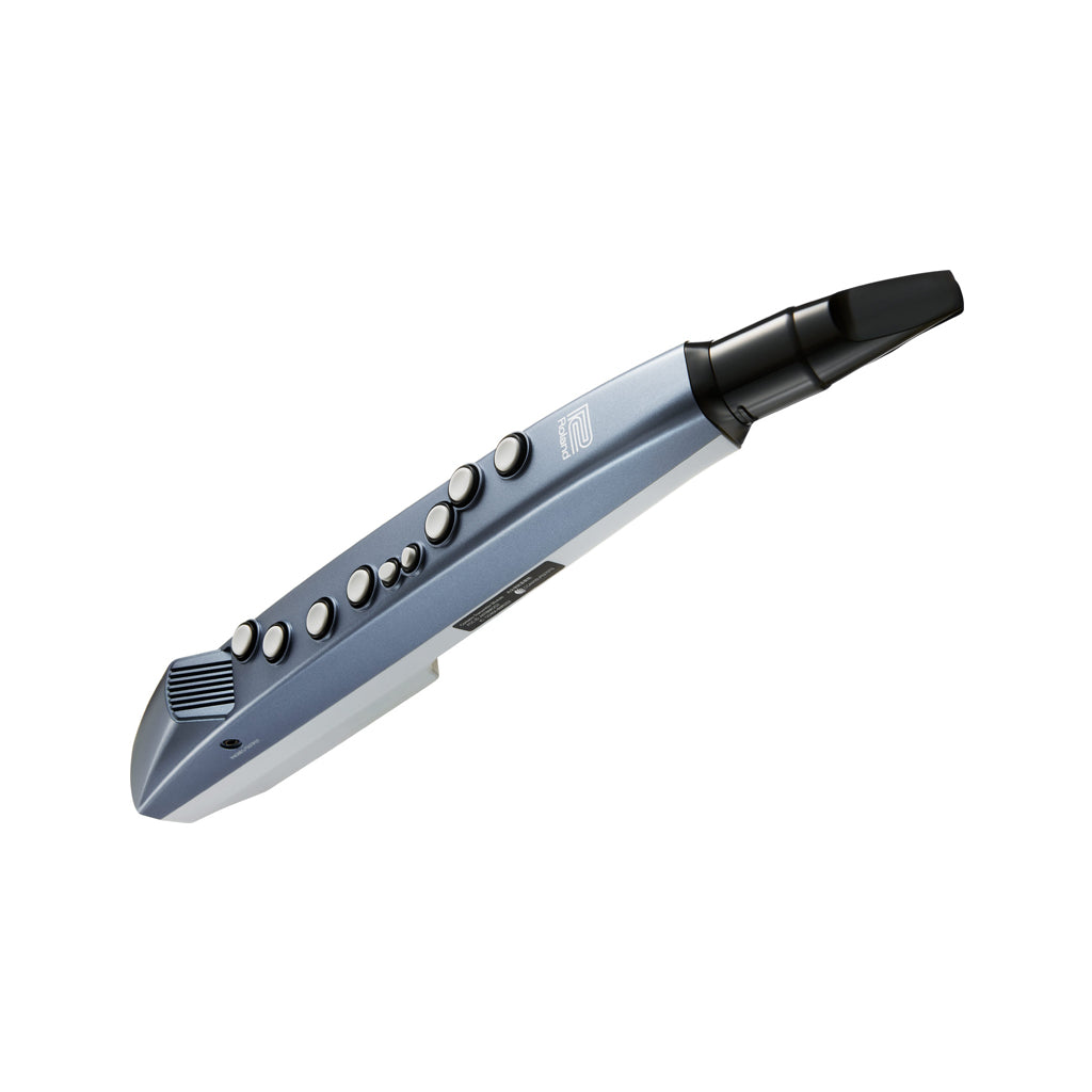 Roland AE-01 Aerophone mini Digital Wind Instrument – Swee Lee
