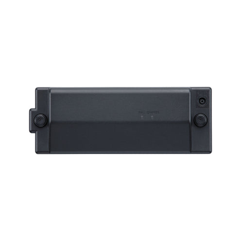 Roland Rechargeable Amp Power Pack - Cube STEX - KC-220 -BA330 - AC33