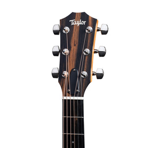 Taylor 210ce Plus Rosewood/Spruce Dreadnought Acoustic Guitar w/Aerocase, Natural