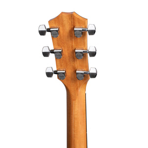 Taylor 210ce Plus Rosewood/Spruce Dreadnought Acoustic Guitar w/Aerocase, Natural