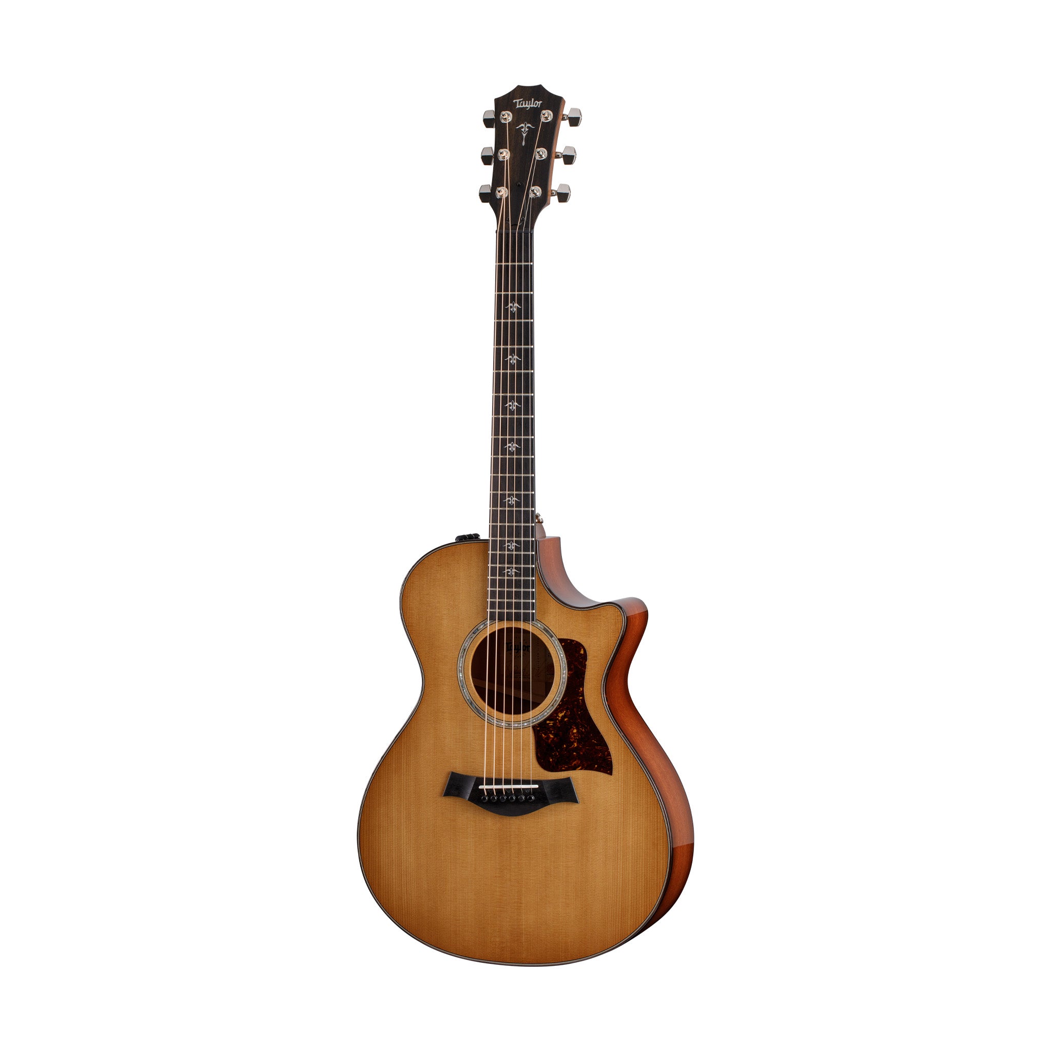 Taylor 512ce Urban Ironbark V-Class Grand Concert Acoustic Guitar w/Case