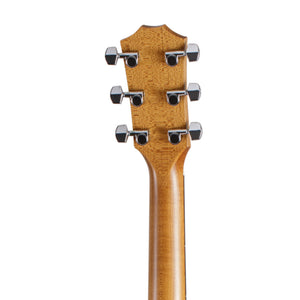 Taylor Academy 20e Dreadnought Acoustic Guitar w/Walnut Top & Bag