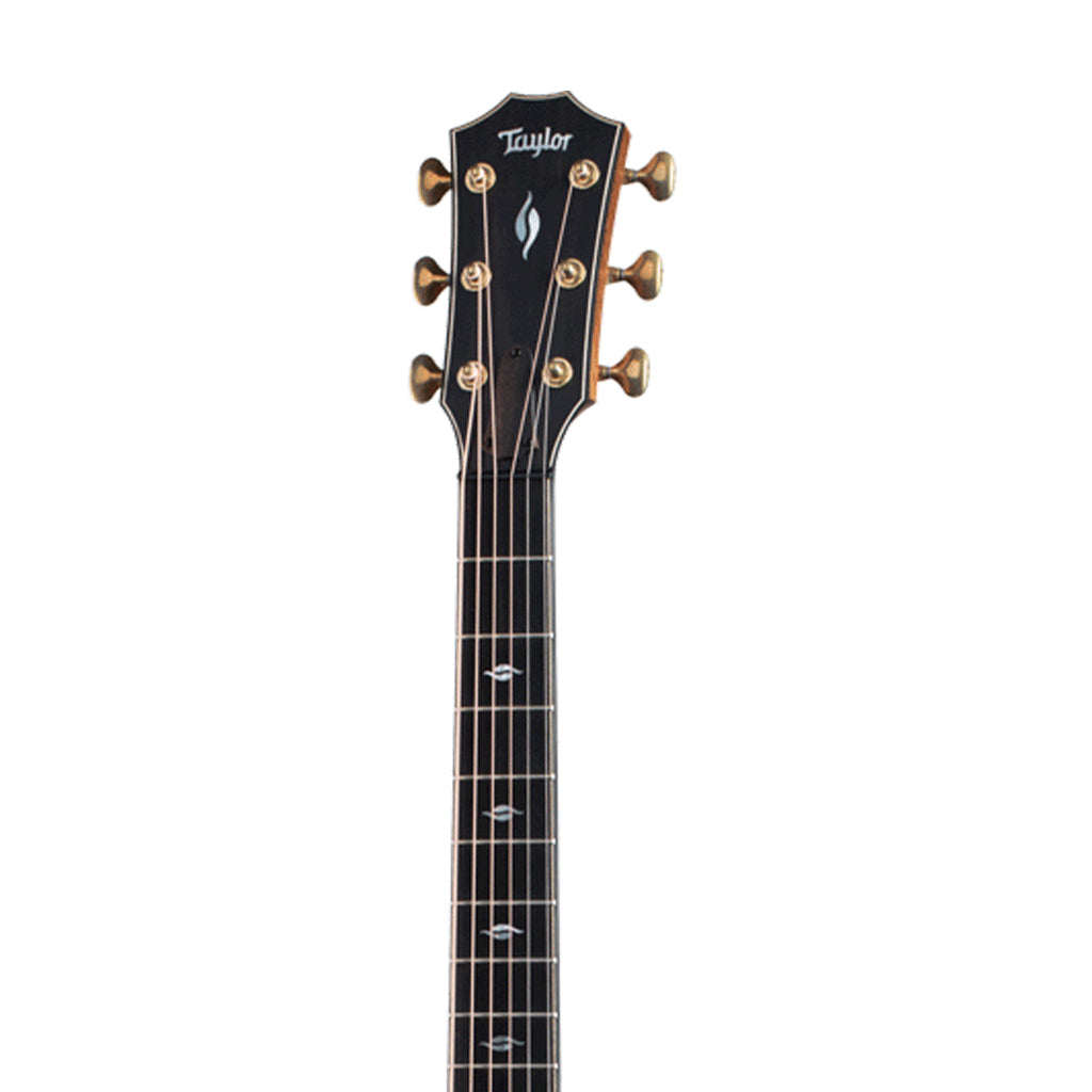 Taylor Builder's Edition 816ce V-Class Grand Symphony Acoustic