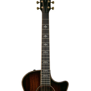 Taylor Custom 12042 Mahogany V-Class Grand Auditorium Acoustic Guitar, 22194