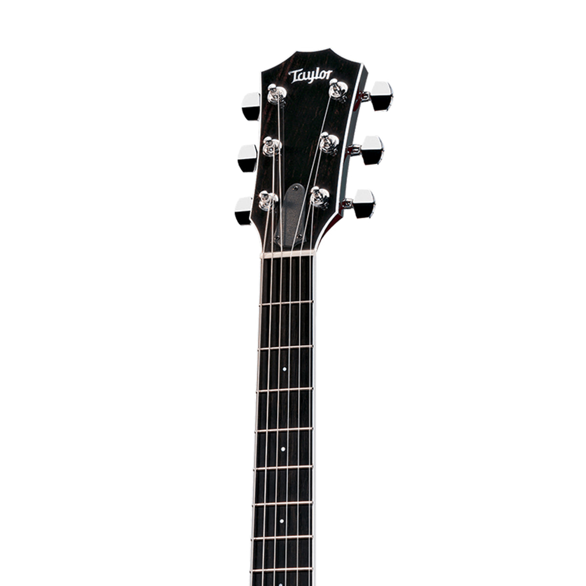 Taylor / T5 Standard Blackとても美品です。 Taylor T5 Standard Black - Willcutt Guitars